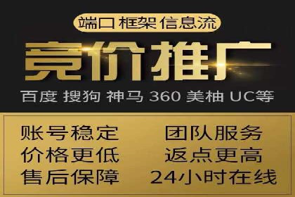 百度竞价与搜索引擎优化（SEO）的协同效应案例